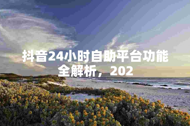 抖音24小时自助平台功能全解析，2025必备技巧！