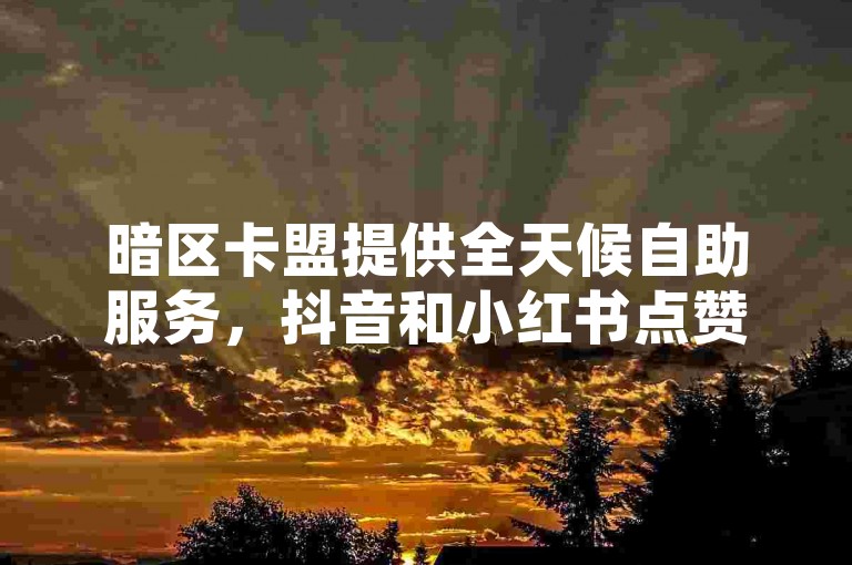 暗区卡盟提供全天候自助服务，抖音和小红书点赞轻松搞定。