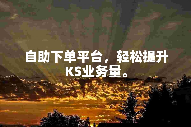 自助下单平台，轻松提升KS业务量。