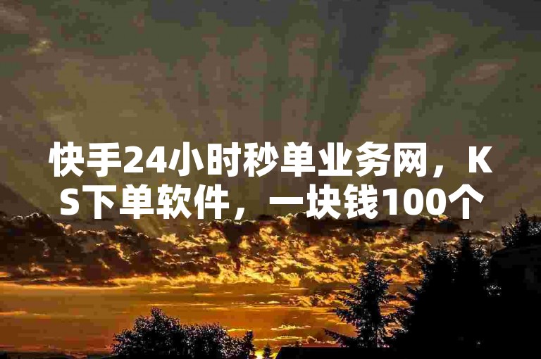 快手24小时秒单业务网，KS下单软件，一块钱100个微利疯狂!