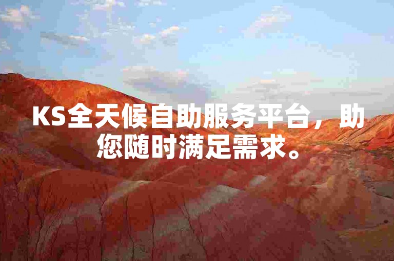 KS全天候自助服务平台，助您随时满足需求。