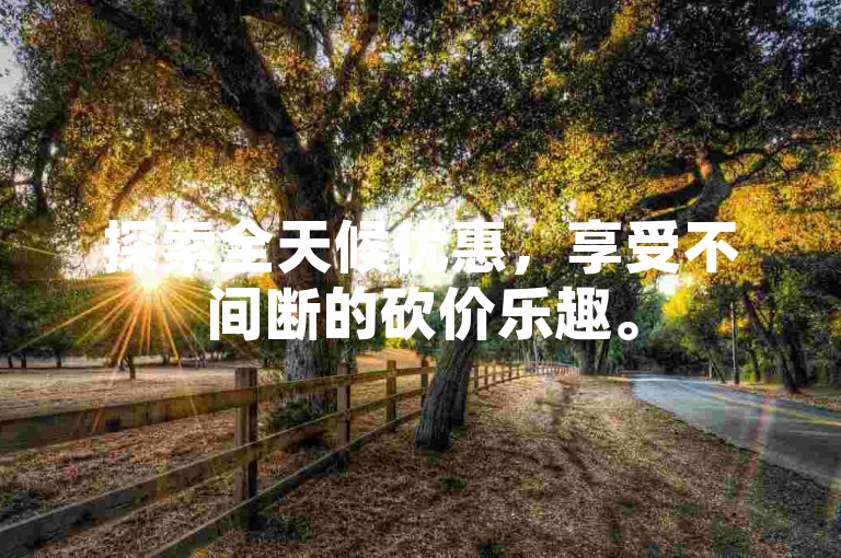 探索全天候优惠，享受不间断的砍价乐趣。