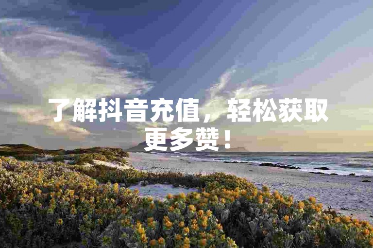 了解抖音充值，轻松获取更多赞！