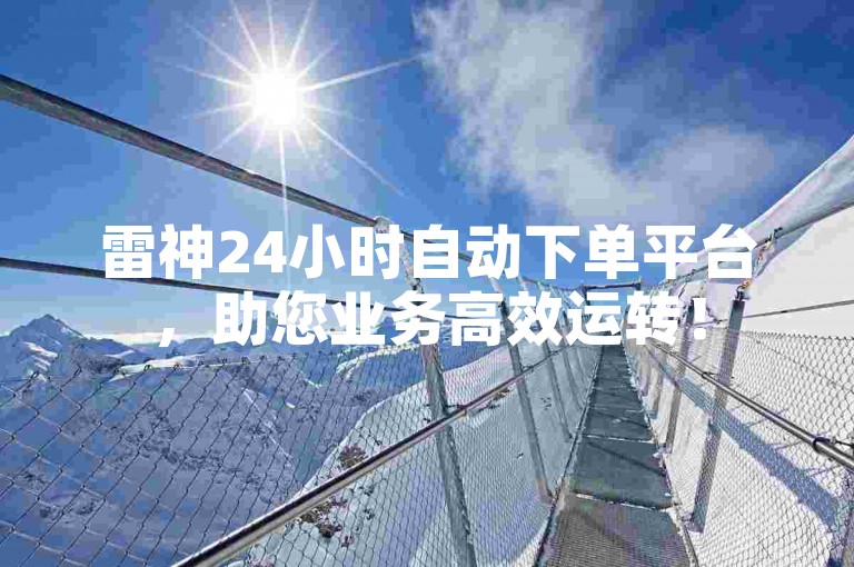 雷神24小时自动下单平台，助您业务高效运转！