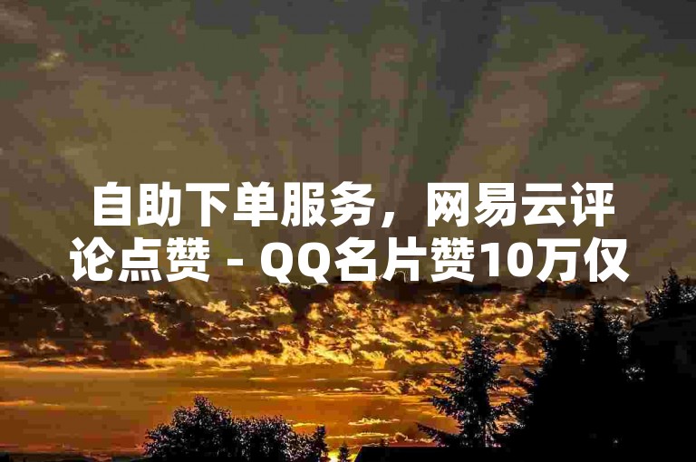 自助下单服务，网易云评论点赞 - QQ名片赞10万仅需一元 - 自助查询登录页面