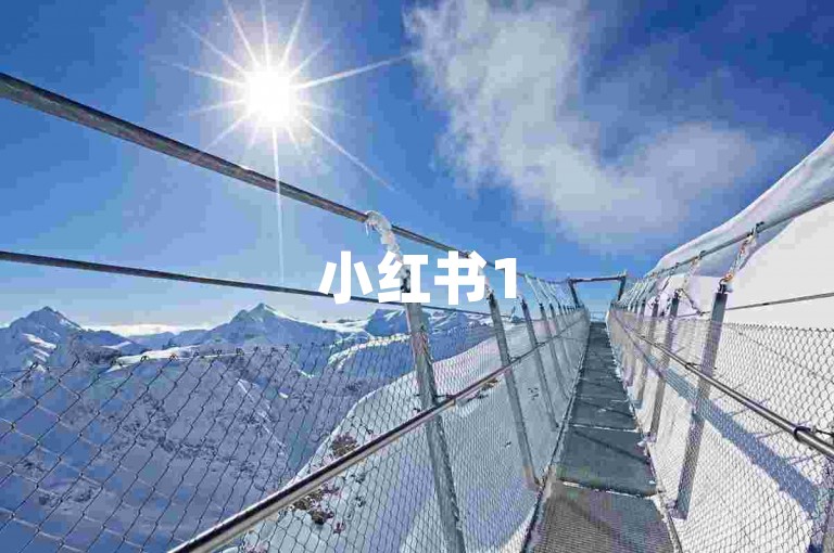 小红书1500粉丝报价,24小时自助下单平台免费业务。