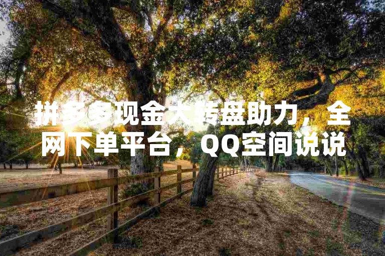 拼多多现金大转盘助力，全网下单平台，QQ空间说说转发自助下单。