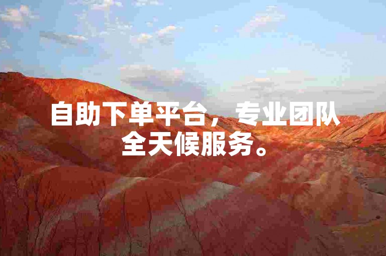 自助下单平台，专业团队全天候服务。