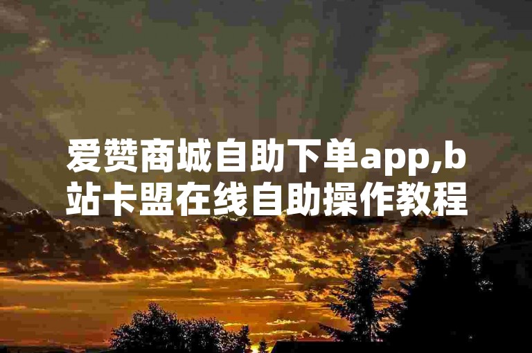 爱赞商城自助下单app,b站卡盟在线自助操作教程。