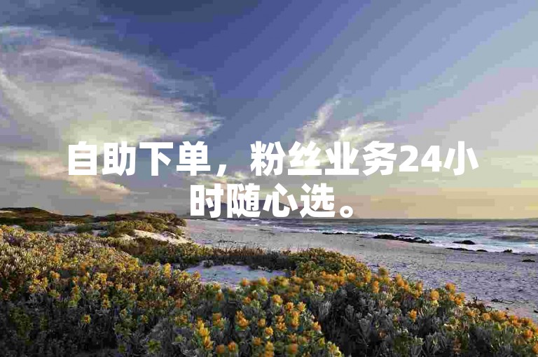 自助下单，粉丝业务24小时随心选。