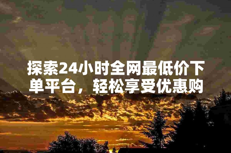 探索24小时全网最低价下单平台，轻松享受优惠购物体验。