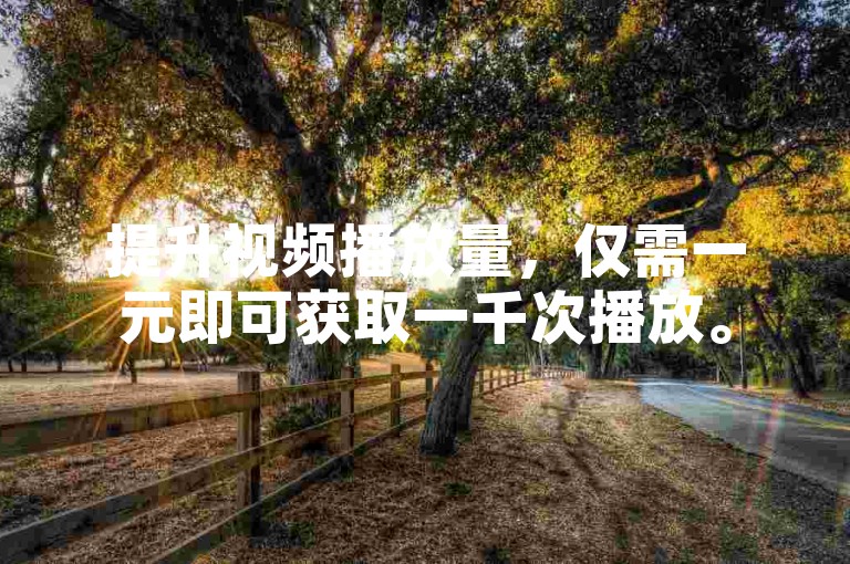 提升视频播放量，仅需一元即可获取一千次播放。