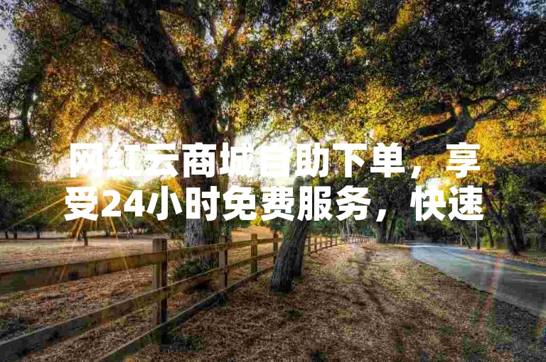 网红云商城自助下单，享受24小时免费服务，快速高效。