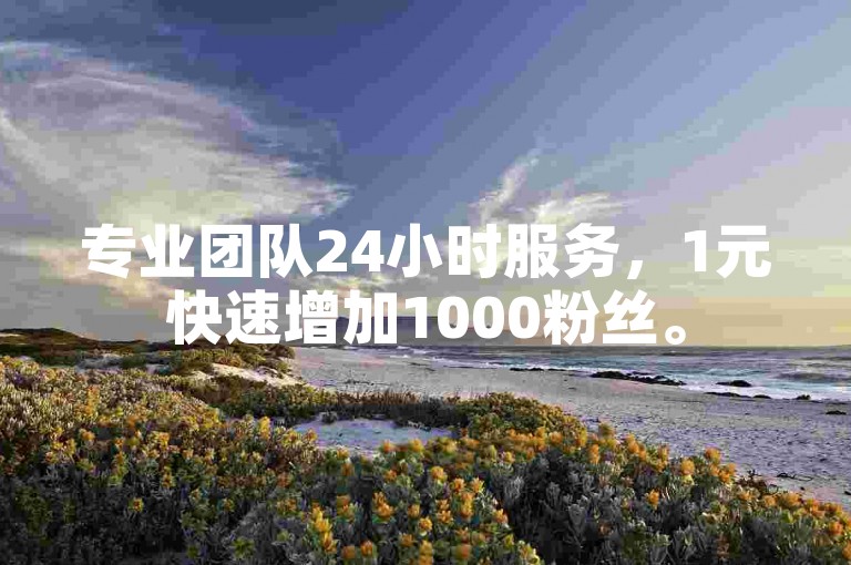 专业团队24小时服务，1元快速增加1000粉丝。