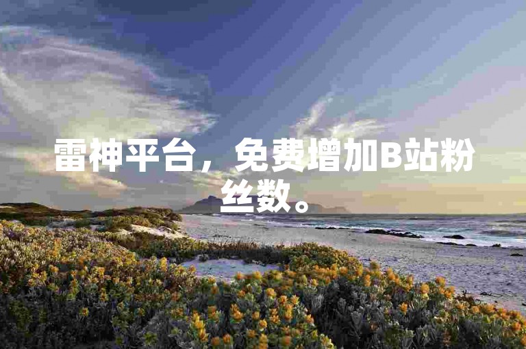 雷神平台，免费增加B站粉丝数。