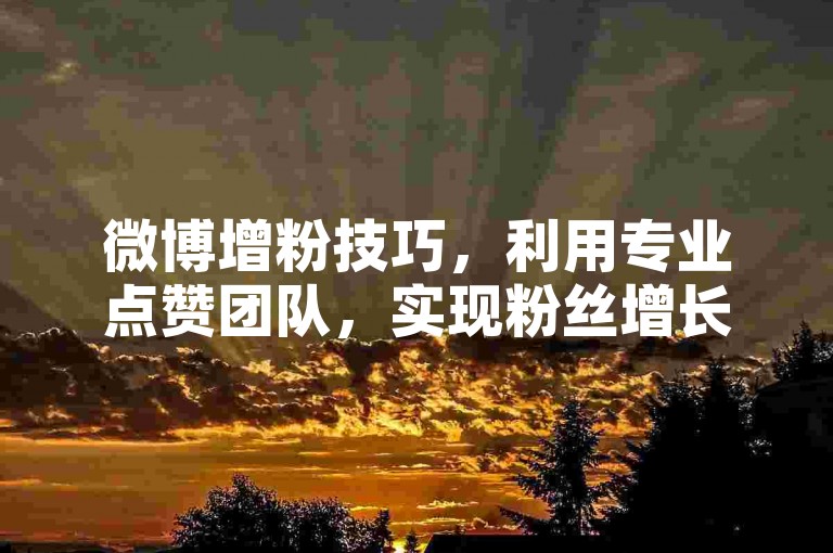 微博增粉技巧，利用专业点赞团队，实现粉丝增长。