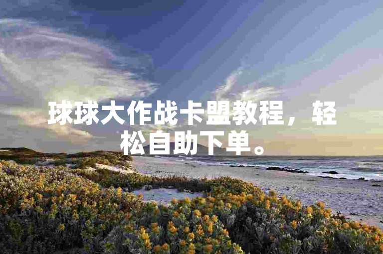球球大作战卡盟教程，轻松自助下单。
