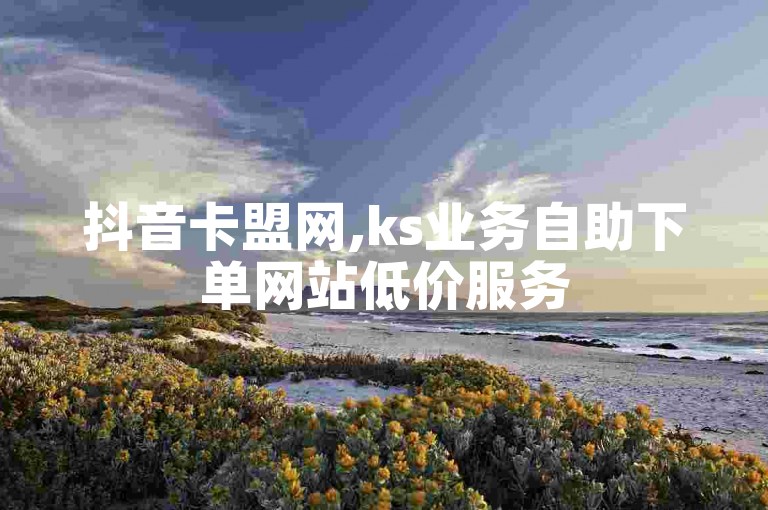 抖音卡盟网,ks业务自助下单网站低价服务