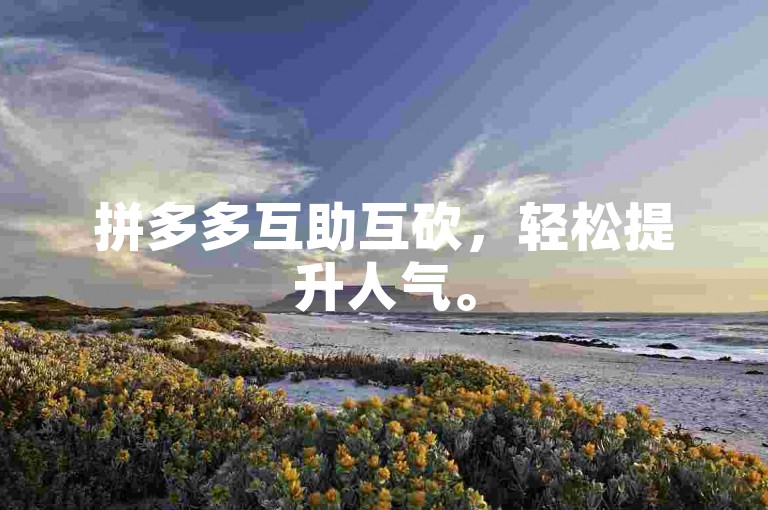 拼多多互助互砍，轻松提升人气。