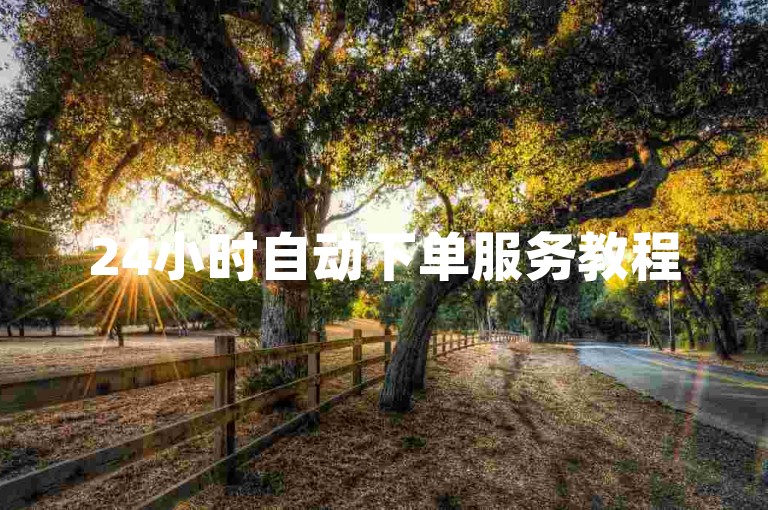 24小时自动下单服务教程