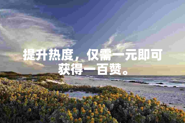 提升热度，仅需一元即可获得一百赞。