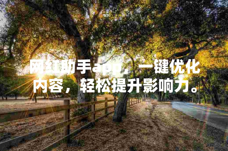 网红助手app，一键优化内容，轻松提升影响力。