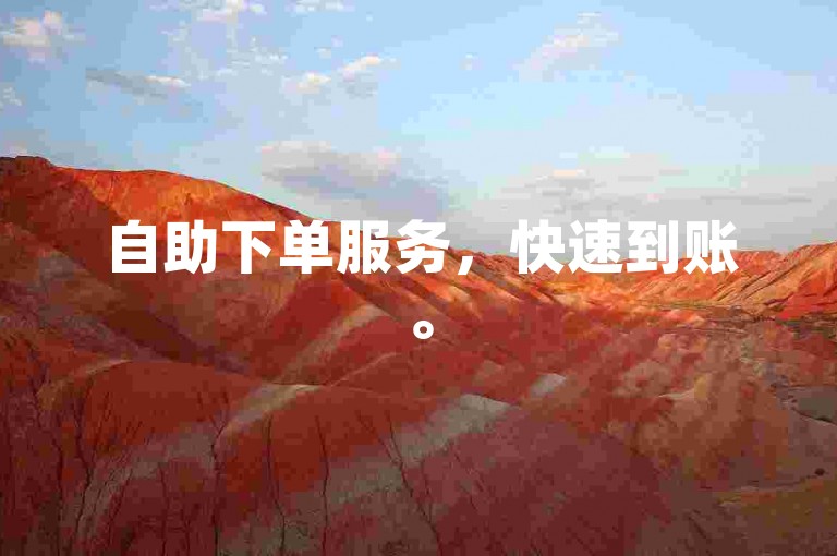 自助下单服务，快速到账。