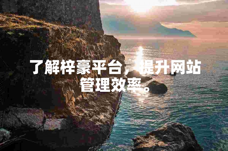 了解梓豪平台，提升网站管理效率。