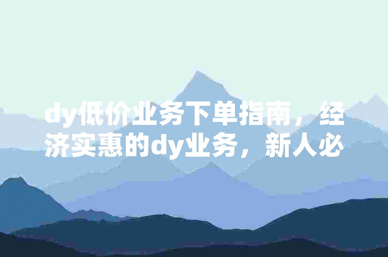 dy低价业务下单指南，经济实惠的dy业务，新人必看！