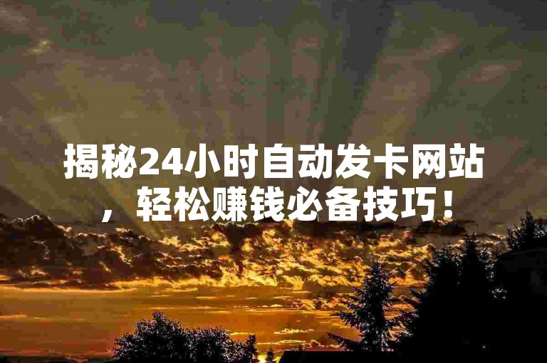 揭秘24小时自动发卡网站，轻松赚钱必备技巧！