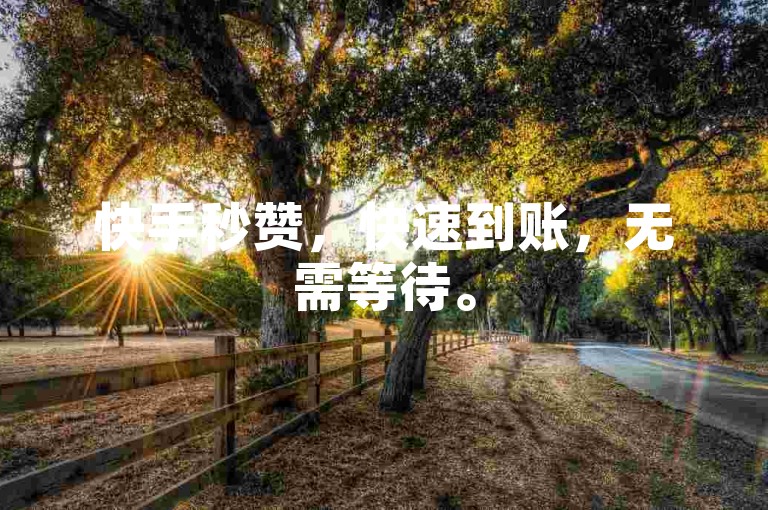快手秒赞，快速到账，无需等待。