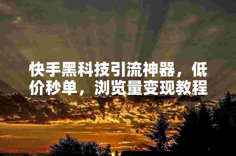 快手黑科技引流神器，低价秒单，浏览量变现教程。