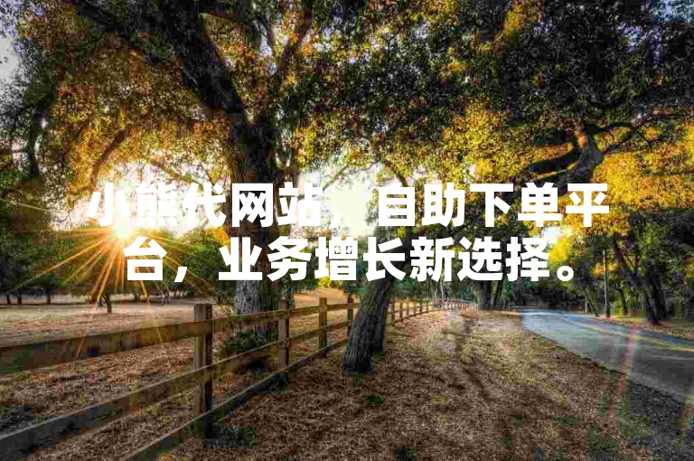 小熊代网站，自助下单平台，业务增长新选择。