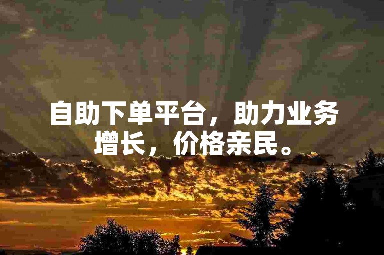自助下单平台，助力业务增长，价格亲民。