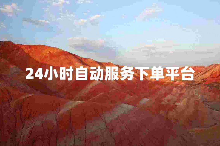 24小时自动服务下单平台