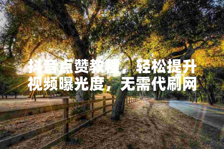 抖音点赞教程，轻松提升视频曝光度，无需代刷网站。
