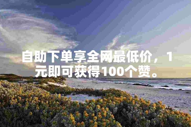 自助下单享全网最低价，1元即可获得100个赞。