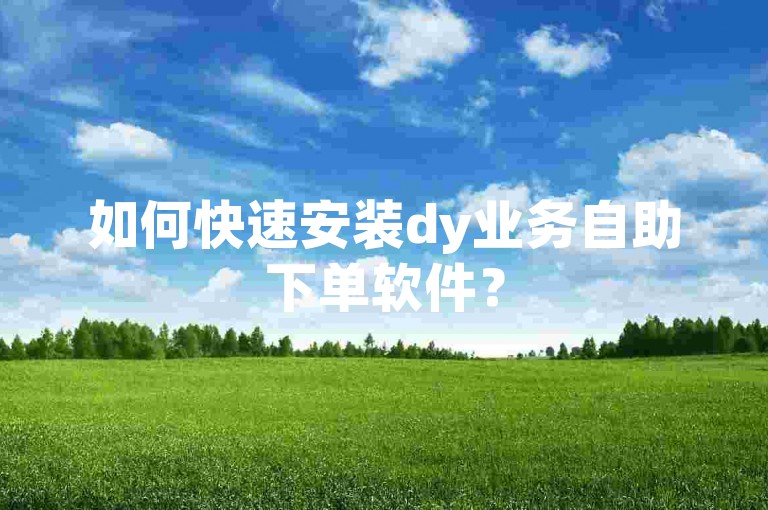如何快速安装dy业务自助下单软件？