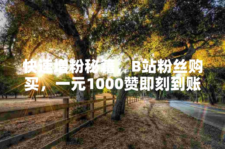 快速增粉秘籍，B站粉丝购买，一元1000赞即刻到账。
