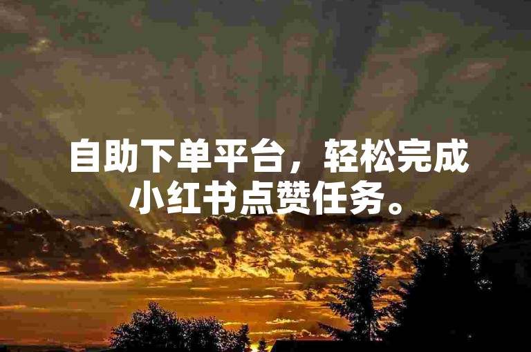 自助下单平台，轻松完成小红书点赞任务。