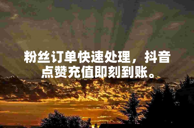 粉丝订单快速处理，抖音点赞充值即刻到账。