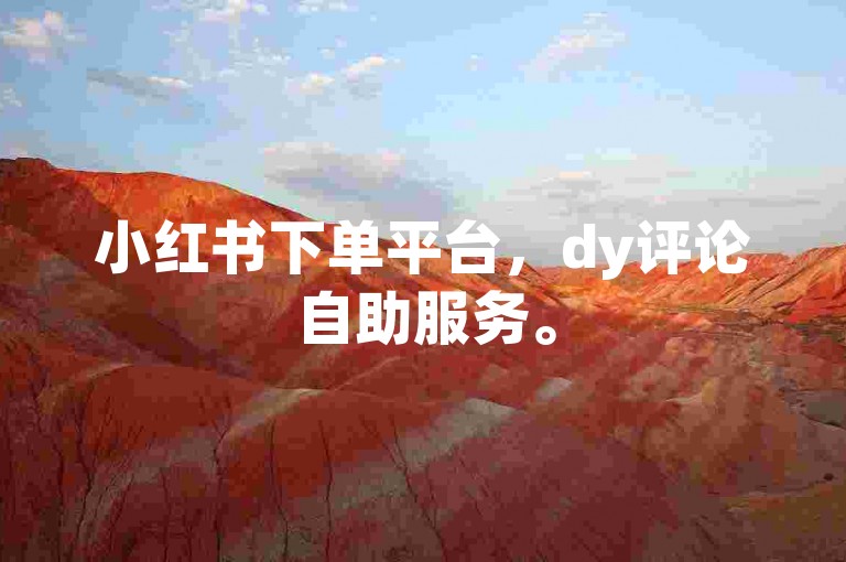 小红书下单平台，dy评论自助服务。