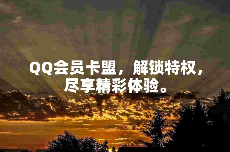 QQ会员卡盟，解锁特权，尽享精彩体验。