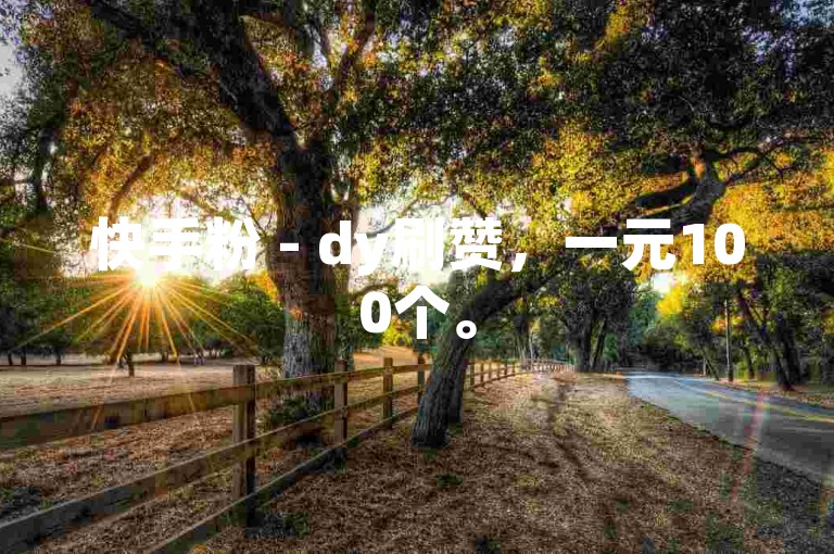 快手粉 - dy刷赞，一元100个。