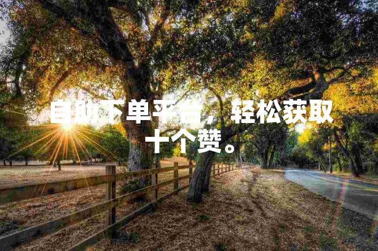 自助下单平台，轻松获取十个赞。
