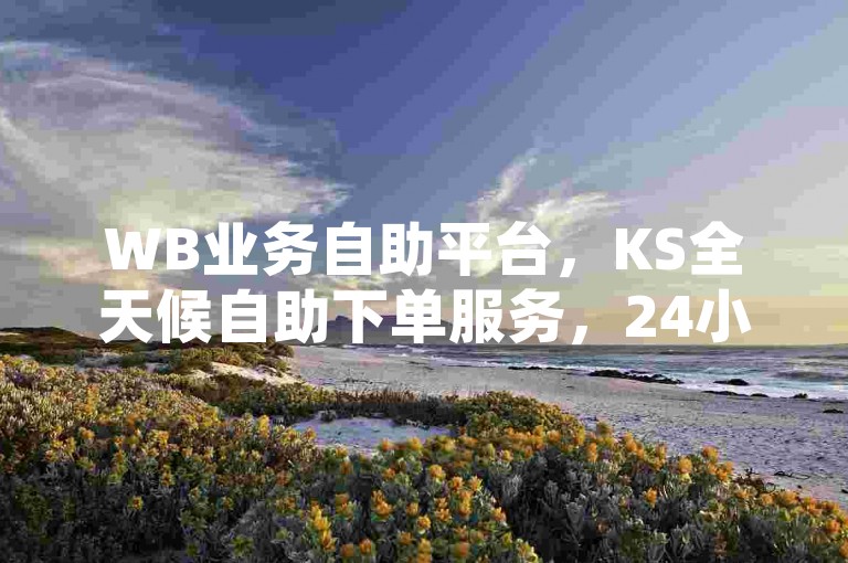 WB业务自助平台，KS全天候自助下单服务，24小时不间断。