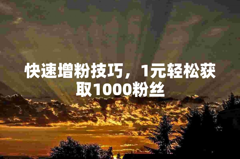 快速增粉技巧，1元轻松获取1000粉丝