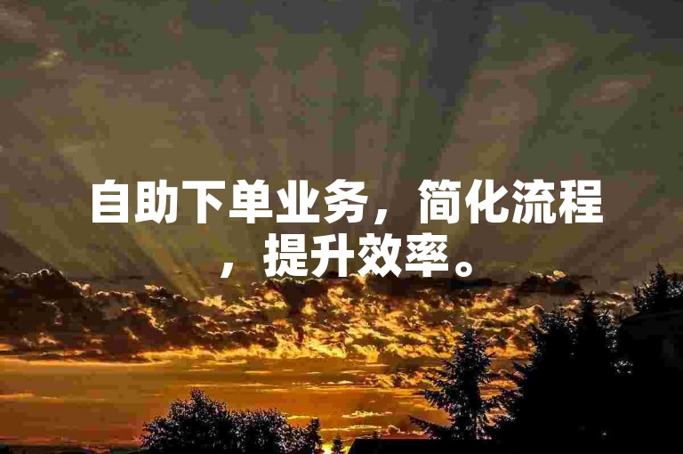 自助下单业务，简化流程，提升效率。