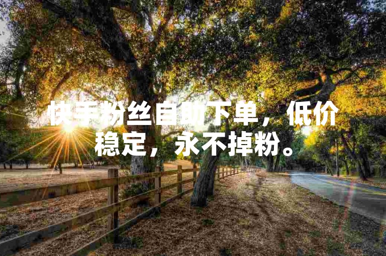 快手粉丝自助下单，低价稳定，永不掉粉。
