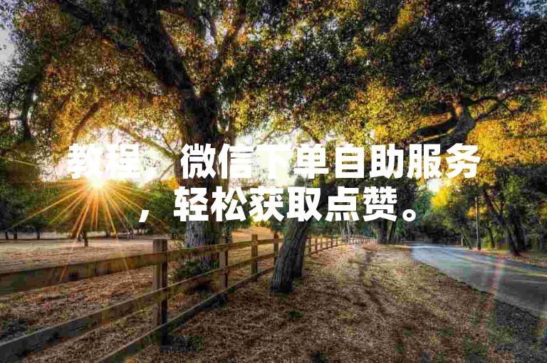 教程，微信下单自助服务，轻松获取点赞。